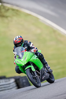 Lower Group Green Bikes